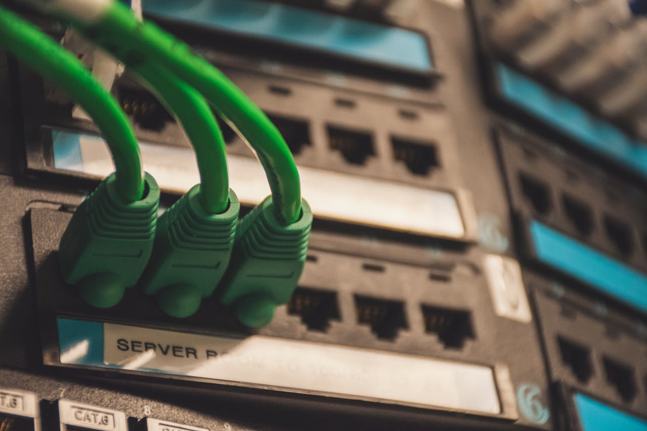 Close-up of green network cables plugged into server ports, showcasing technology setup.